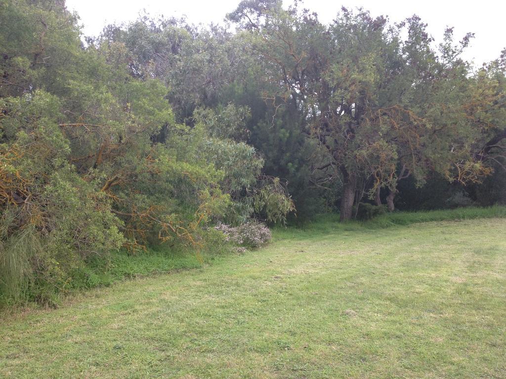 ホテル Millicent Lakeside Caravan Park エクステリア 写真
